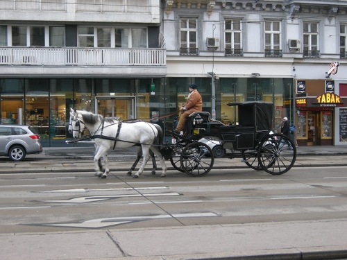 ウィーン　馬車