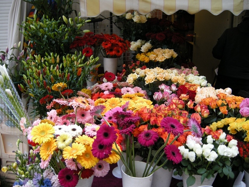 ウィーンの街角　お花屋さん2