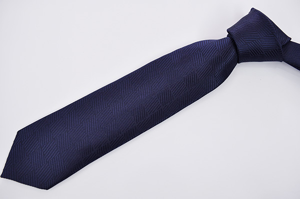 ermenegildo zegna tie 10