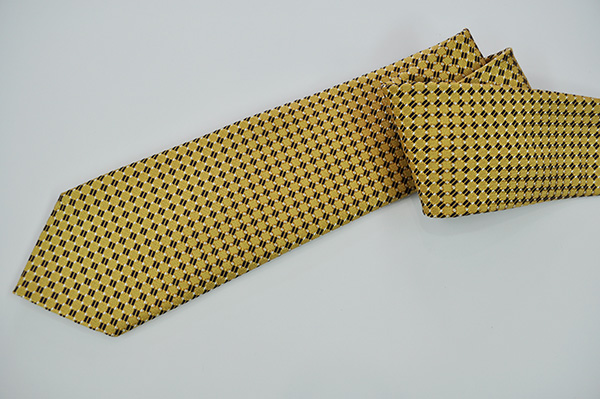 ermenegildo zegna tie 4