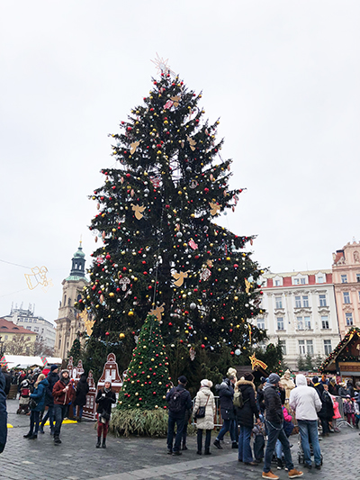 プラハ旧市街広場クリスマスツリー