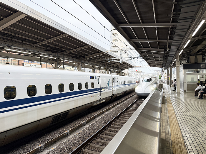 shizuoka8
